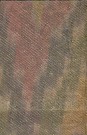 Sari 227