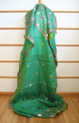 Sari 672