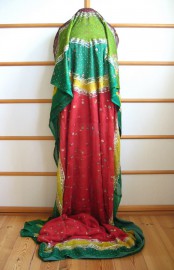 Sari 1058