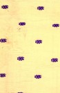 sari-1526-1
