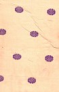 sari-1528-1