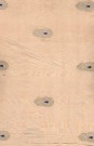 sari-1533-1