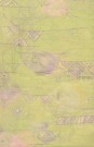 sari-2051-1
