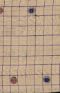sari-2195-1
