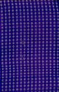 sari-2196-1