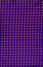 sari-2198-1