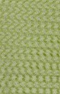 sari-1591-1