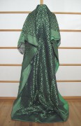Sari 1810