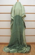 Sari 1887