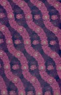 sari-1899-1