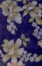 Sari 1923