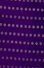 sari-1971-1