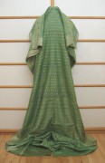 Sari 1976