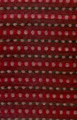 sari-1979-1