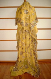 Sari 2006