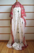 Sari 2029