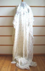 Sari 2034