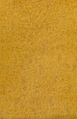 sari-2385-1