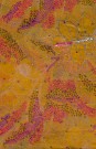 sari-2398-1