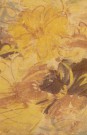 sari-2399-1