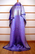 Sari 2950