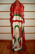 Sari 3001