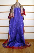 Sari 3100