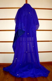 Sari 3646