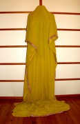 Sari 3647