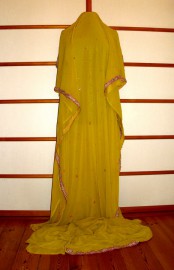 Sari 3647