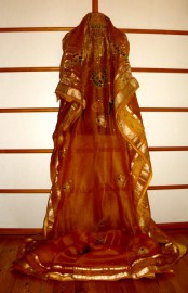 Sari 3653