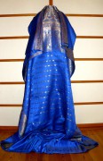 sari-3741