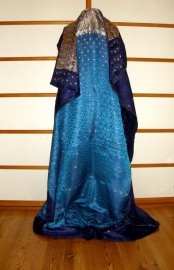 sari-3788