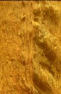 sari-3923-1