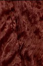 sari-3937-1