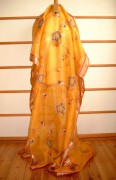 Sari 4053