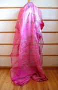 Sari 4249