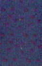sari-4560-1