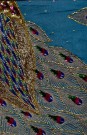 Sari 5267