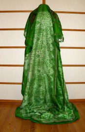 Sari 5874