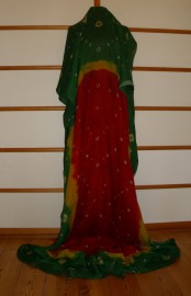 sari-6307