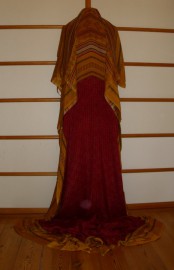 sari-6313