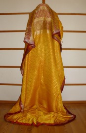 sari-4993