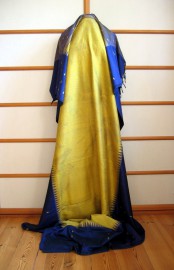 sari-2372