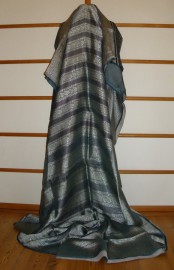 sari-1901
