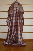 sari-1904