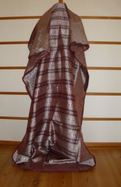 sari-1904