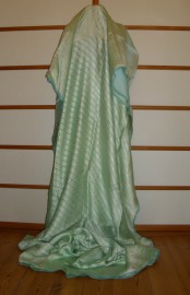sari-2233