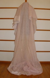 sari-3738