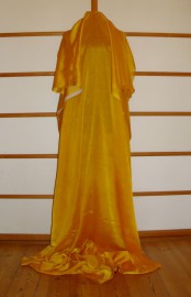 sari-3759